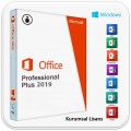 Office 2019 Pro Plus Retail Lisans